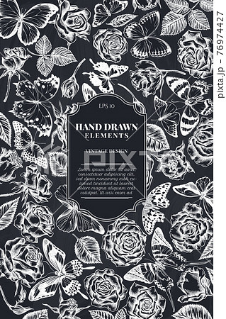 Card design with chalk menelaus blue morpho, lemon butterfly, red lacewing, african giant Card design with chalk menelaus blue morpho, lemon butterfly, red lacewing, african giant 76974427