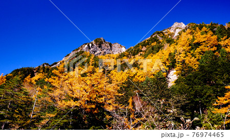 上高地の明神岳の紅葉 上高地の明神岳の紅葉 76974465