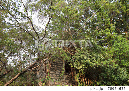the ruins at Cattle Depot Artist Village park 27 March 2021 76974635