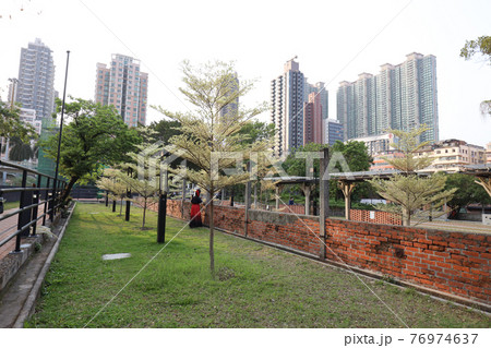 the Cattle Depot Artist Village park at Ma Tau Kok, Hong Kong 27 March 2021 76974637