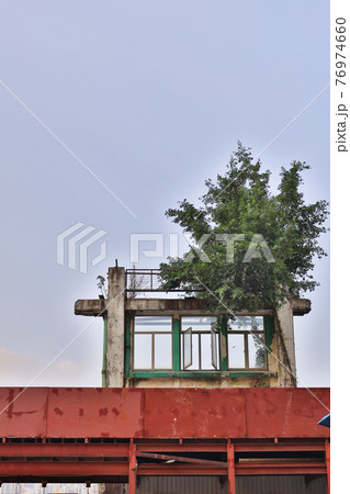 the window frame stand on the ruins, hk 27 March 2021 the window frame stand on the ruins, hk 27 March 2021 76974660