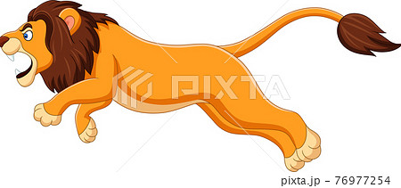 Cartoon Lion Jumping Isolated On White Backgroundのイラスト素材