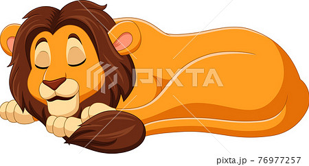 Cartoon Lion Sleeping On White Backgroundのイラスト素材