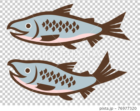 鮭の切り絵風イラスト 76977320