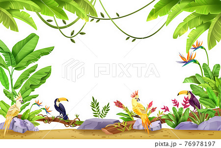 Jungle vector tropical frame, nature exotic background, toucan, parrot, banana leaf, liana, stone 76978197
