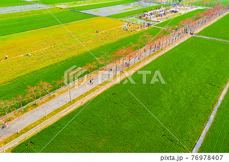 台湾 景色 風景 76978407