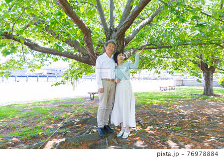 大きな木の下新緑に包まれ横浜を楽しむシニア夫婦 ライフタイル 大きな木の下新緑に包まれ横浜を楽しむシニア夫婦 ライフタイル 76978884