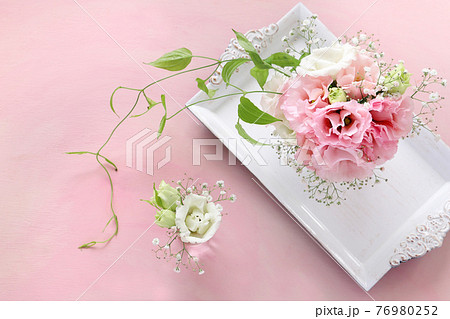 ピンクのトルコ桔梗　母の日　父の日 76980252