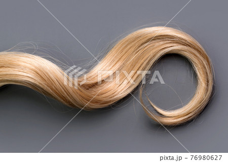 Curly blonde hair on grey background. Beautiful healthy long blond hair lock, haircut, hairstyle. Dyed hair or coloring, hair extension, cure, treatment concept. Curly blonde hair on grey background. Beautiful healthy long blond hair lock, haircut, hairstyle. Dyed hair or coloring, hair extension, cure, treatment concept. 76980627