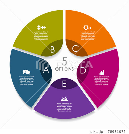 Infographic design template with place for your data. Vector illustration. 76981075