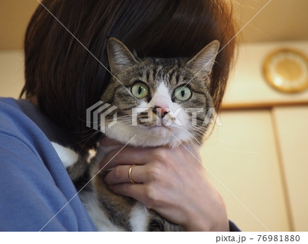 捕まった猫 猫を捕獲 保護 観察 保健所 引き取り 捕まった猫 猫を捕獲 保護 観察 保健所 引き取り 76981880