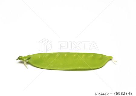サヤエンドウ サヤエンドウ 76982348
