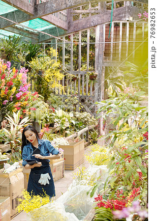 Searching for plant in greenhouse 76982653