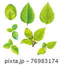 りんごの若葉_切り抜きセット1 76983174
