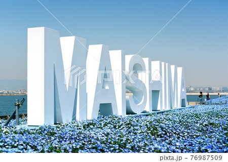 大阪まいしまシーサイドパーク　ネモフィラ祭り 76987509