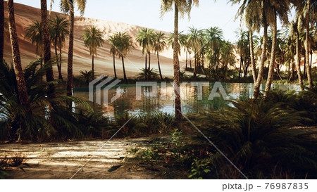 Oasis in hot Sahara Desert 76987835