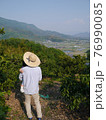 山間のミカン畑から遠くを見つめる農家 76990085