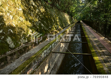 琵琶湖疎水の南禅寺に続く道 琵琶湖疎水の南禅寺に続く道 76990848