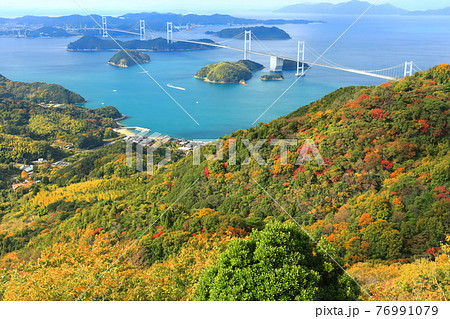 【愛媛県】来島海峡大橋と紅葉 【愛媛県】来島海峡大橋と紅葉 76991079