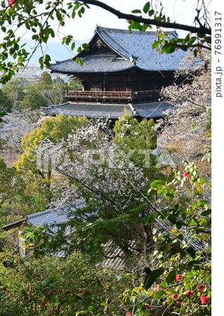 琵琶湖疎水から見た南禅寺 76991317