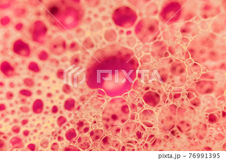 Abstract circular shaped elements as background template Abstract circular shaped elements as background template 76991395