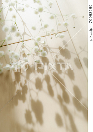 木漏れ日 ボタニカルな気配 白い花 かすみ草 陰 シャドー shadow 室内 ナチュラル 自然背景 木漏れ日 ボタニカルな気配 白い花 かすみ草 陰 シャドー shadow 室内 ナチュラル 自然背景 76992599