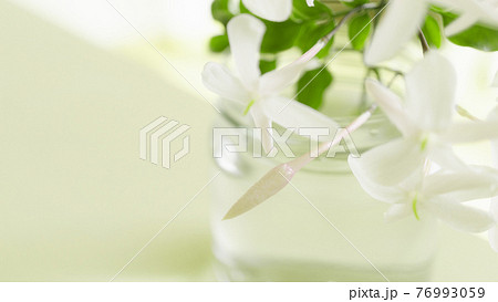 ボタニカルな気配 ナチュラル背景 自然 おしゃれ ぼかし 花 緑 白 ガラス 羽衣ジャスミン きれいの写真素材