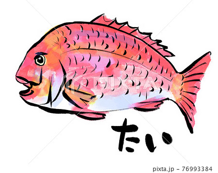 水彩画風たいと筆文字 76993384