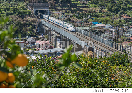 【ミカン畑を疾走する東海道新幹線N700A】 【ミカン畑を疾走する東海道新幹線N700A】 76994216