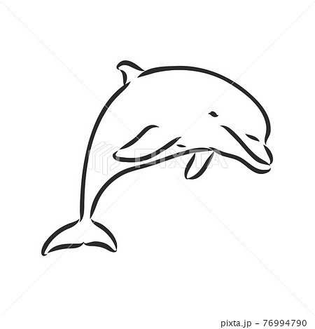 simple dolphin silhouette. dolphin, vector... - Stock Illustration  [76994790] - PIXTA