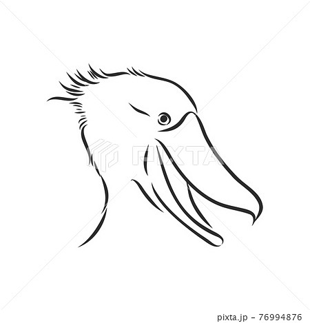 Hand drawn sketch style shoebill. Vector illustration isolated on white background. 76994876