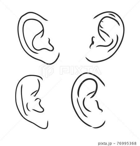 160,757 Ear Drawing Images, Stock Photos & Vectors | Shutterstock