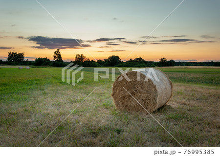 Hay bale in the meadow and the evening sky, Nowiny, Poland Hay bale in the meadow and the evening sky, Nowiny, Poland 76995385