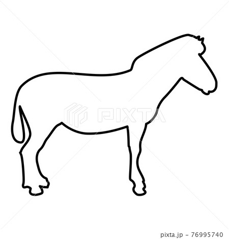Zebra stand Animal standing contour outline black  76995740
