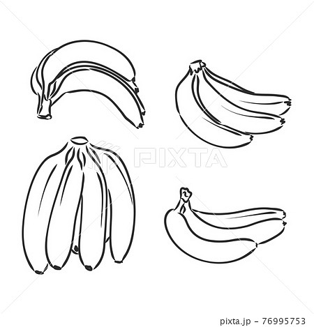 Aggregate more than 124 banana sketch best