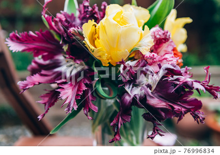 Bunch of Parrot Style Tulips 76996834