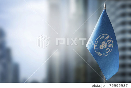 Patch of the national flag of the Food and agriculture organization on a white t-shirt 76996987