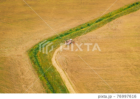 Aerial View Of Rural Landscape. Combine Harvester Working In Field, Collects Seeds. Harvesting Of Wheat In Late Summer. Agricultural Machine Collecting Golden Ripe. Bird's-eye Drone View 76997616
