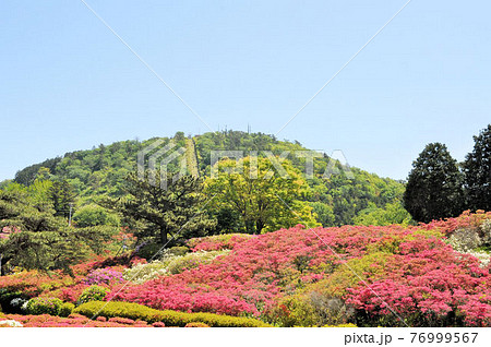 小室山公園 76999567