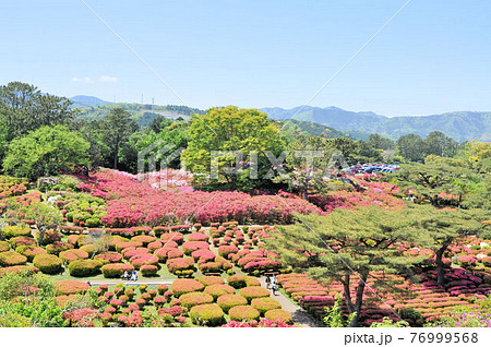 小室山公園 小室山公園 76999568