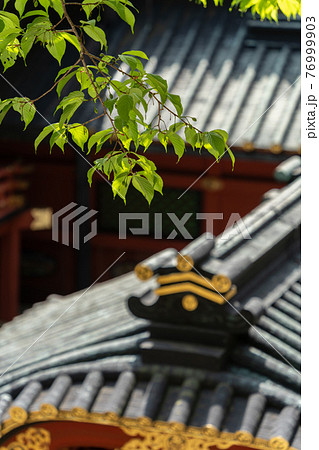 【静岡県】 久能山東照宮 【静岡県】 久能山東照宮 76999903