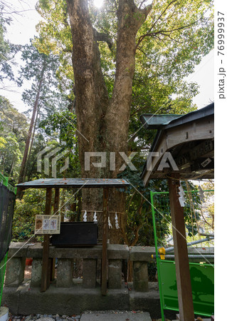 【静岡県】 久能山東照宮 【静岡県】 久能山東照宮 76999937