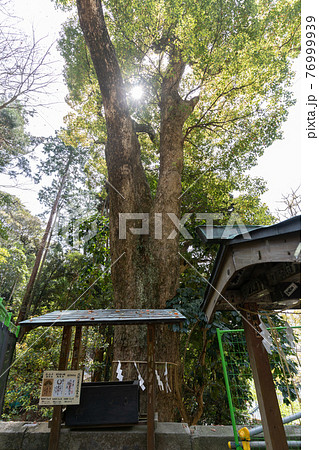 【静岡県】　久能山東照宮 76999939