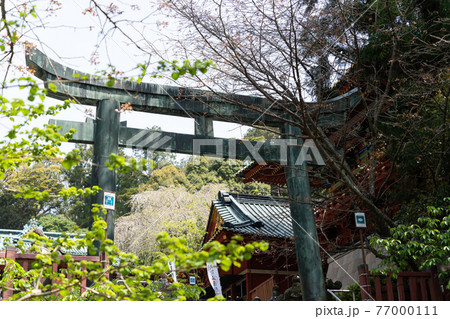 【静岡県】　久能山東照宮 77000111