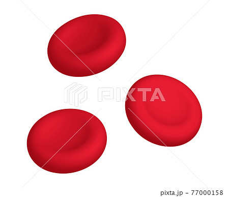 赤血球 赤血球 77000158