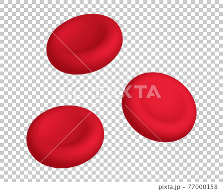 赤血球 赤血球 77000158