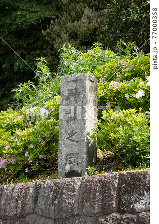 【静岡県】 久能山東照宮 【静岡県】 久能山東照宮 77000358