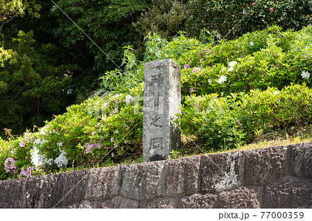 【静岡県】　久能山東照宮 77000359