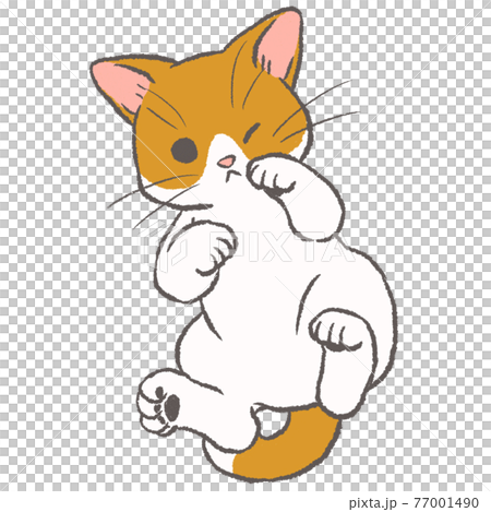 仰向けで片目を閉じる白と茶色の猫のイラストのイラスト素材