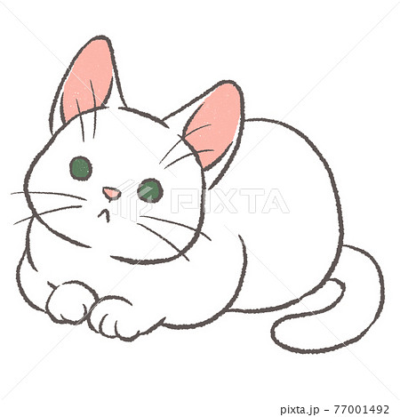 体を丸めて少し見上げる白猫のイラストのイラスト素材 [77001492] - PIXTA